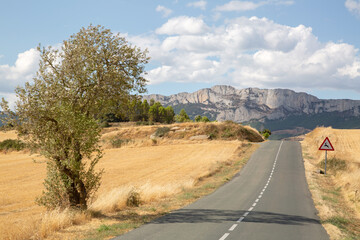 Open Road near Lapoblacion Village, Navarra; Spain