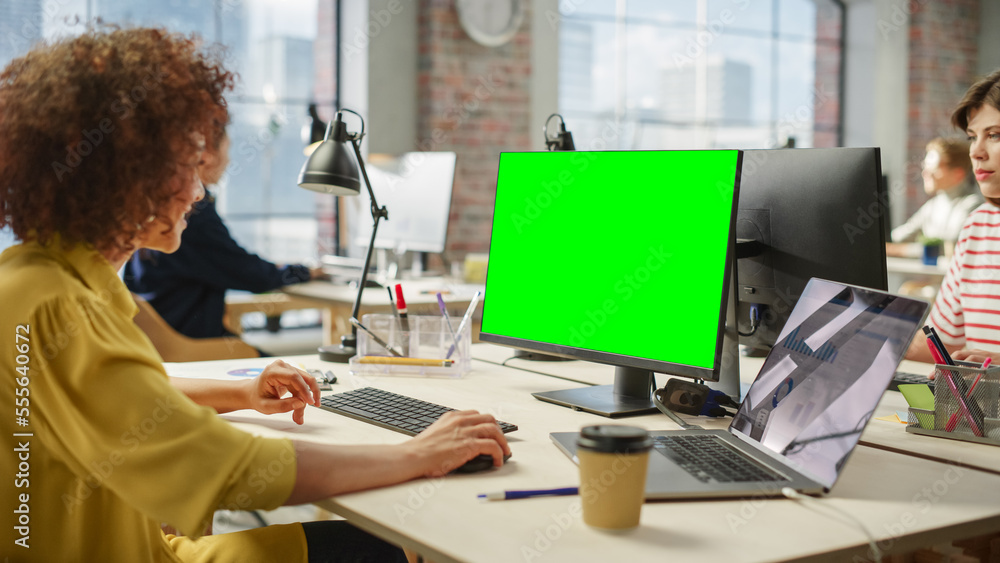 Poster Biracial Woman Smiles While Using Green Screen Display on a Computer in a Busy Bright Office. Multiethnic Group of Creative Colleagues Working on Computers in the Background.