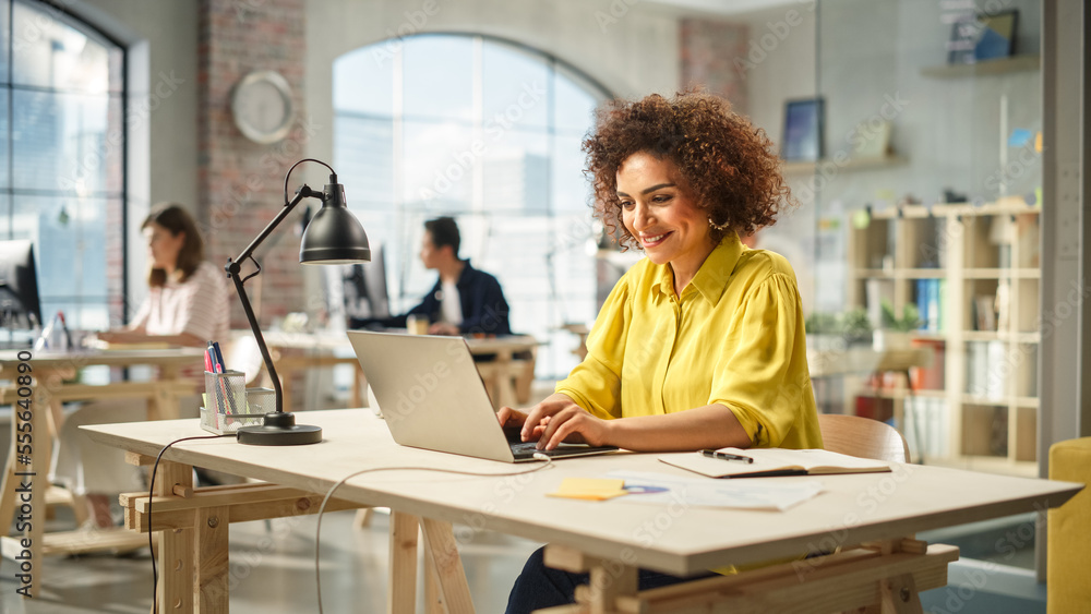 Poster portrait of biracial young woman using laptop and smiling in a spacious office. female technical sup