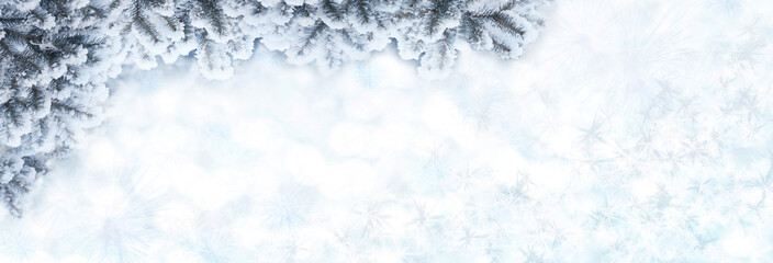 Snow covered spruce branches with Christmas blurred garland lights. Beautiful, winter, New Year's, holiday background with a copy space. Banner 2023.