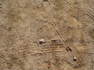imagen textura suelo de tierra con marcas de neumático y alguna piedra pequeña