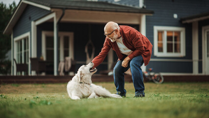 Cheerful Senior Man Enjoying Time Outside with a Pet Dog, Petting a Playful White Golden Retriever....