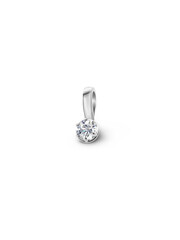 isolated on white background jewelry silver pendant with shadow.