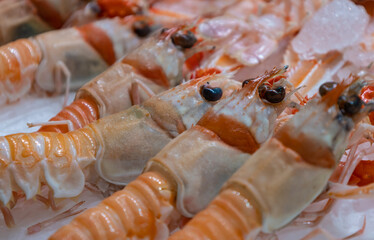 Norway lobster in the market. Animal food from the sea for humans.