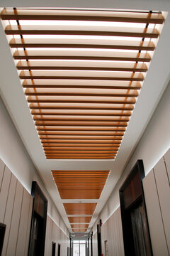Natural lighting ceiling, roof constructed of wood and glass.