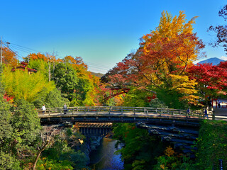 Autumn leaves around Saruhashi bridge