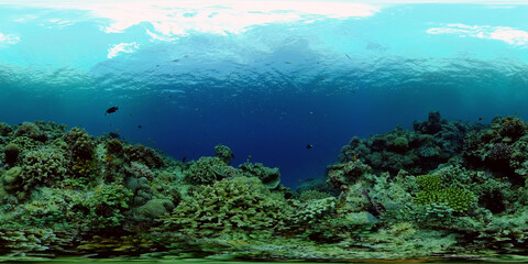 Naklejka na ściany i meble Coral garden seascape and underwater world. Colorful tropical coral reefs. Life coral reef. Philippines. 360 panorama VR