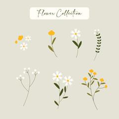 Set of Flowers hand drawn vector art for decoration. Daisy and yellow flower element. Flowers collection. Isolated.