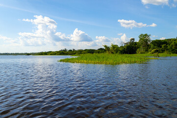 Amazing water landscape of the Amazonas river in the middle of the rain forest during a canoe excursion trip 