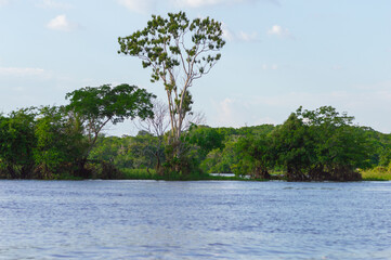 Amazing water landscape of the Amazonas river in the middle of the rain forest during a canoe excursion trip 