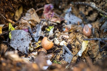 adding food waste to a compost pile. egg shell, vegetable, and fruit scraps turning a compost in a home garden