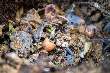Turning a soil food web thermophilic compost pile full of microorganisms, in America and Australia.