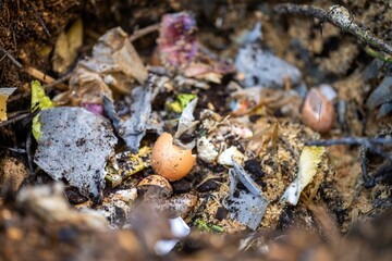 adding food waste to a compost pile. egg shell, vegetable, and fruit scraps turning a compost in a home garden