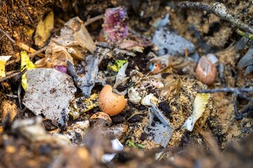 adding food waste to a compost pile. egg shell, vegetable, and fruit scraps turning a compost in a home garden