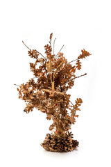 Orthodox Christian celebration - Badnjak. Serbian Christmas - Bozic. Badnjak grain and straw, 

isolated on white background with Clipping Path included