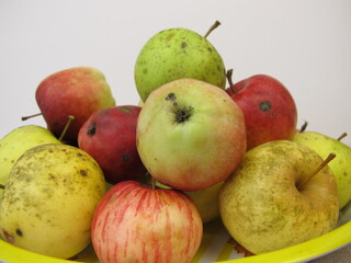 From the weather damaged apples with hail damage or sunburn from the meadow orchard