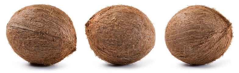 Coconut isolated. Coconuts on white background. Coconut set. Whole nut collection. Full depth of field.