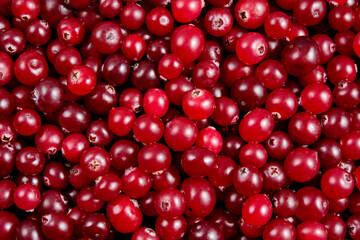 Cranberry background. Cranberries top view. Cranberry berries top view flat lay. Red background.