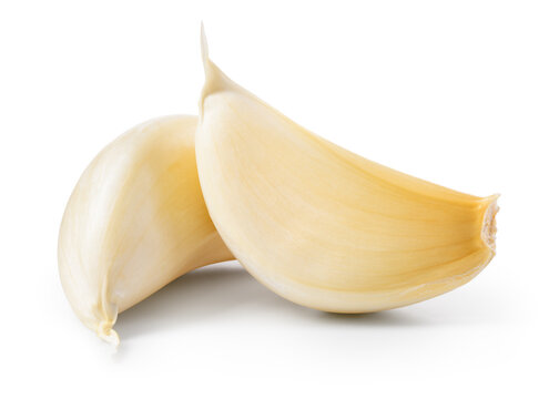 Garlic clove isolated. Garlic cloves on white background. Unpeeled white garlic cloves with clipping path. Full depth of field.