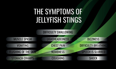 the symptoms of Jellyfish stings. Vector illustration for medical journal or brochure.
