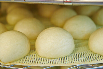 Meat dumplings in a steamer