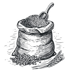 Sack full of wheat grains, sketch. Farm organic food, bread baking, bakery concept. Vintage vector illustration - obrazy, fototapety, plakaty