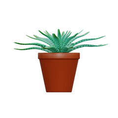 succulent plants in pot on white, 3d rendering of banana plant png transparent background