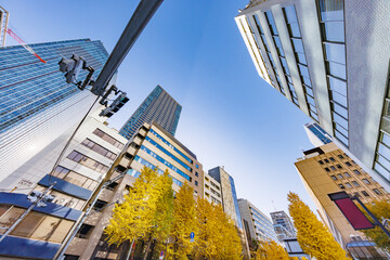 Fototapeta na wymiar 東京のビル群と紅葉した木
