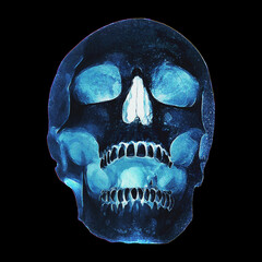 Human Skull Variant 5 Fossill X-RAY Version 