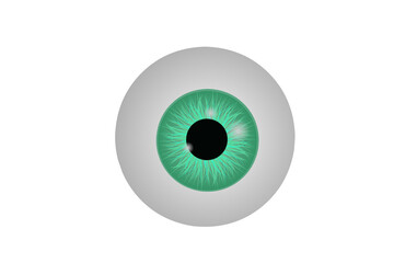 realistic human eyeball. eye with bright green, illustration of eye ball isolated at transparent background. PNG illustration