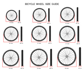 Bicycle wheel sizes guide, vector illustration
