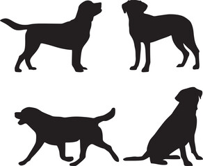 Vector set of labrador dog silhouettes. Shadows of pets, mammals.