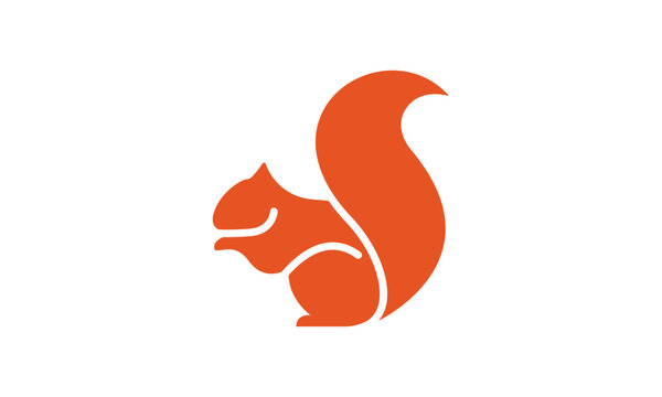 Creative squirrel logo vector image