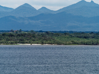 Mata Atlântica preserved in Brazil, in the Serra do Mar do Parana, an untouched and preserved...