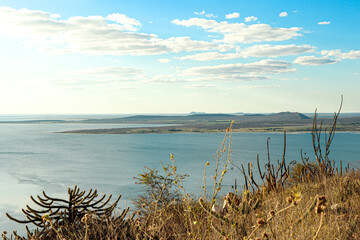 LANDSCAPE WITH WATER AND BLUE SKY. NORTHEAST OF BRAZIL. CAATINGA BIOME