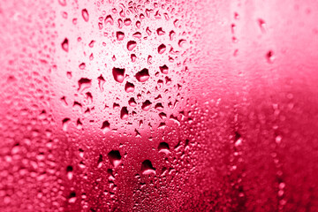 Drops on the glass in the glow of the sunset close up. Magenta background