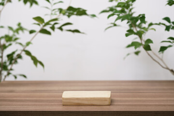 empty wooden podium texture on tabletop with tree branch fresh green leaf white space background.organic healthy natural product pedestal platform promotion show display,spring banner concept design.