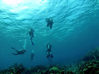 Fototapeta na wymiar SCUBA divers swimming above the reef, off the coast of Utila, Honduras