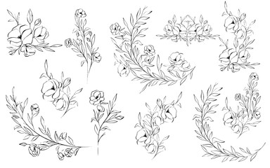 Handrawn Wedding Florals and Botanical Lineart Vector Elements