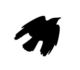 Crow silhouette vector, Crow bird isolated on white background. vector eps10