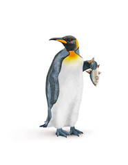 manchot , poisson, brème dans la  main, pêché, oiseau, animal, antarctique, faune, froid, nature, empereur, blanc, neige, roi, hiver, frigide, arctique, joli