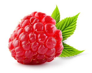 Raspberry isolated. Red raspberry with green leaf isolate. Raspberry with leaves isolated on white background.  Full depth of field.
