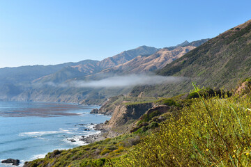 Pacific Coast Highway California Background