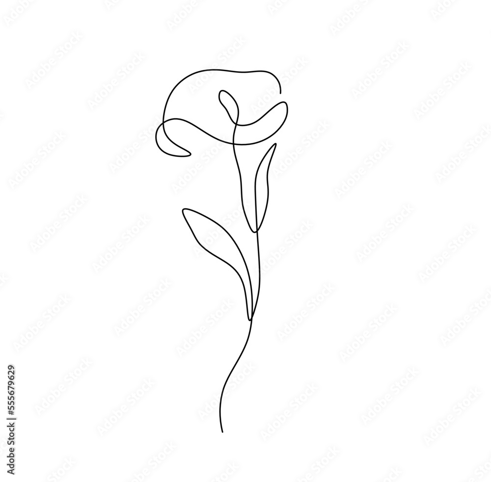 Wall mural Vector isolated small simple minimal one single line calla flower colorless black and white contour line easy drawing
