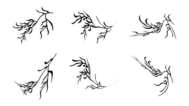 Set of Branches with Leaves Shilouette sketch