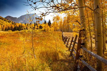 La Sal meadow, Warner Park 2, Utah