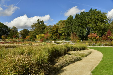 Le Jardin des Fleuristes avec ses plantes diverses entre les chemins et place en automne , à Laeken