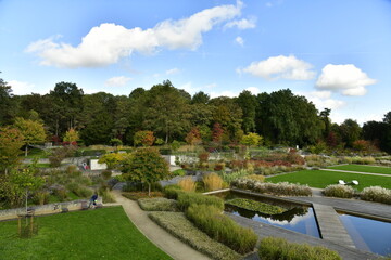 Fototapeta premium Le Jardin des Fleuristes sous l'ombre des nuages à Laeken 
