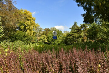 Fototapeta premium La végétation luxuriante aux couleurs de l'automne au parc de la Princesse Clémentine à Laeken 