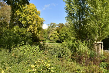 Fototapeta na wymiar La végétation luxuriante aux couleurs de l'automne au parc de la Princesse Clémentine à Laeken 